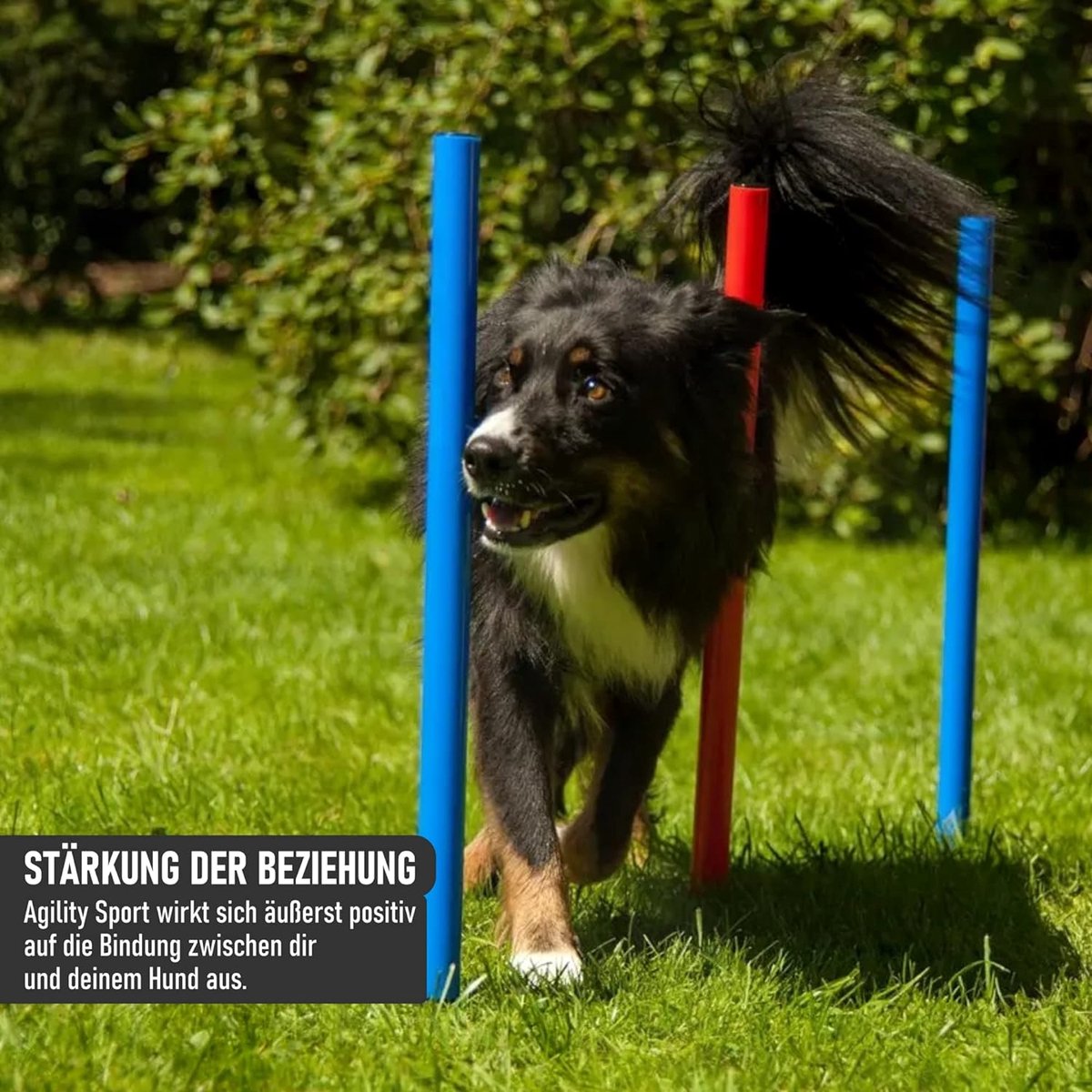 Behendigheid - Agility Voor De Hond - Horde - Twee Hordes - Horde Set Tot 95 Cm Honden Behendigheidsset Horde Agility Voor De Hond