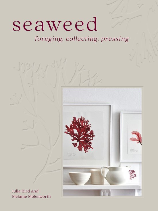 Seaweed