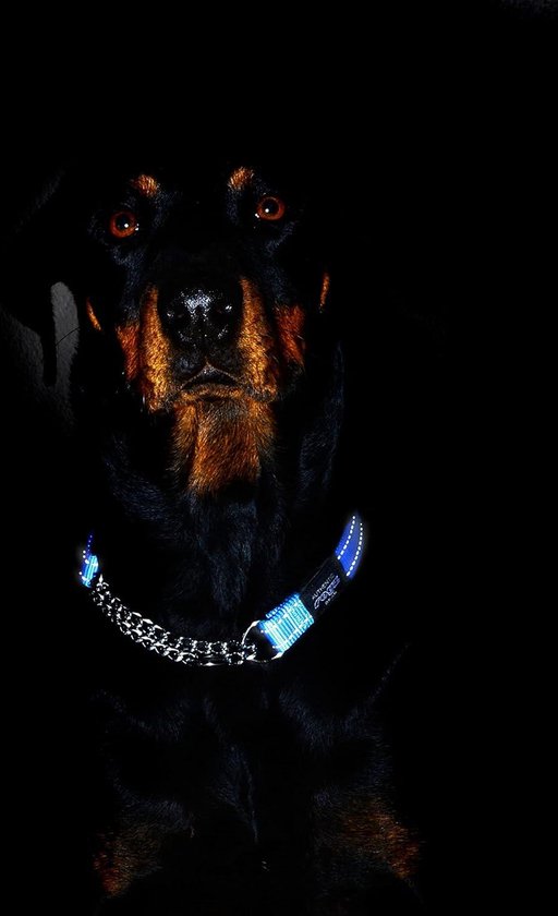 Reflecterende nylon chokekraag; Slip Show Gehoorzaamheidstraining Zachte Choker voor Extra Grote Honden, Turquoise Reflecterende nylon chokekraag; Slip Show Gehoorzaamheidstraining Zachte Choker voor Extra Grote Honden, Turquoise