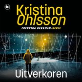 Digitaal luisterboek
