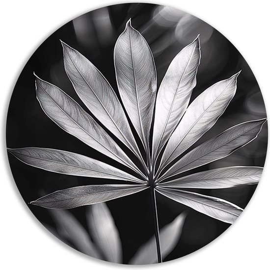 Panneau mural feuille - Cercles muraux végétaux - Cercles muraux Lumière - Tableau Vintage - Peinture dibond - Wall art mur cercle aluminium 60x60 cm