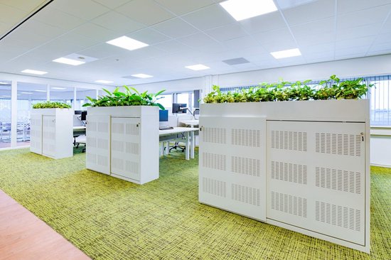 Kantoor met witte kasten met planten en groen tapijt.