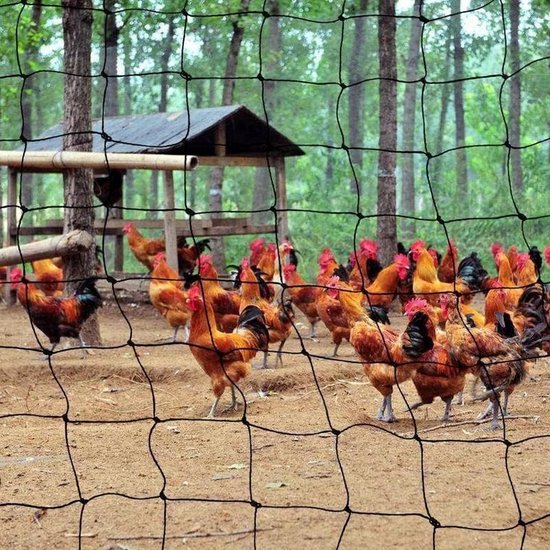TTL Garden 8x8m vijvernet vogelbeschermingsnet zwart 30g/m² - 12x12mm fijnmazig Sterk HDPE vijvernet fruitboomnet tuinveiligheidsnet, vogelafschriknet, scheurvast rekbaar robuust met 12 grondankers