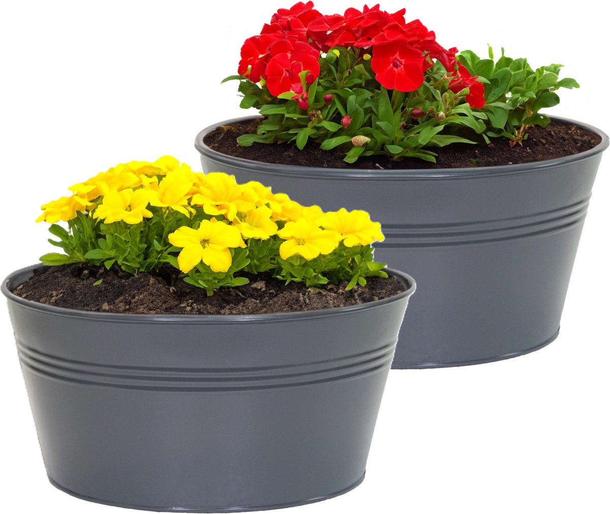 Goedkoopste Mega Collections plantenpot/bloempot Bob - 2x - zink - antraciet - D25 X H12 cm