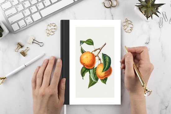 Carnet - Cahier d'écriture - Nourriture - Orange - Fruit - Carnet - Format A5 - Bloc-notes