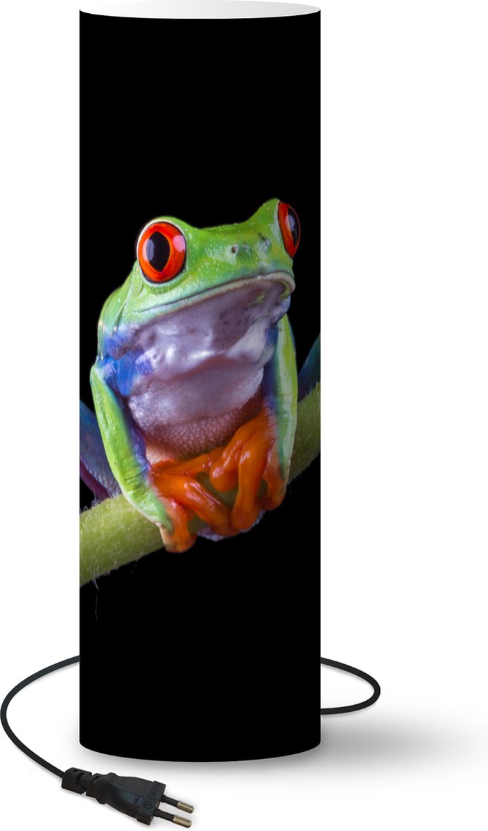 Lamp - Nachtlampje - Tafellamp slaapkamer - Kikker - Oranje - Groen - 50 cm hoog - Ø15.9 cm - Inclusief LED lamp