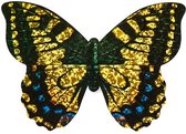 Mini-vlieger Vlinder Glitters Geel/Blauw - 10x7cm