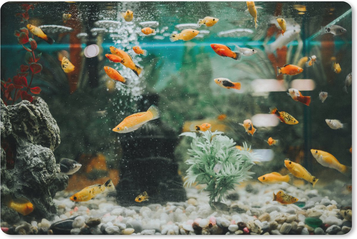Muismat XXL 120x80 cm - Bureau onderlegger - Bureau mat Kleine visjes in een aquarium - Bureaumat - Gaming mousepad xl - Bureaulegger groot - Computer deskmat