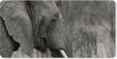 Muismat XXL 90x45 cm - Bureau onderlegger - Bureau mat Olifant - Dieren - Zwart - Wit - Bureaumat - Gaming mousepad xl - Bureaulegger groot - Computer deskmat