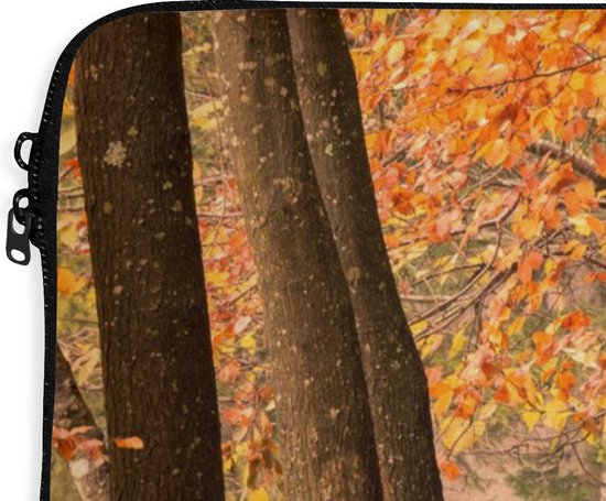 Housse pour ordinateur portable 17 pouces - Feuilles - Automne - Forêt - Housse pour ordinateur portable