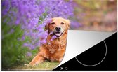 KitchenYeah® Inductie beschermer 76x51.5 cm - Lavendel - Bloemen - Hond - Huisdieren - Kookplaataccessoires - Afdekplaat voor kookplaat - Inductiebeschermer - Inductiemat - Inductieplaat mat