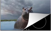 KitchenYeah® Inductie beschermer 76x51.5 cm - Nijlpaard - Water - Wolken - Kookplaataccessoires - Afdekplaat voor kookplaat - Inductiebeschermer - Inductiemat - Inductieplaat mat