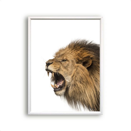 Poster Safari Leeuw Brul  - 50x40cm - Safari Jungle Dieren - Muurdecoratie