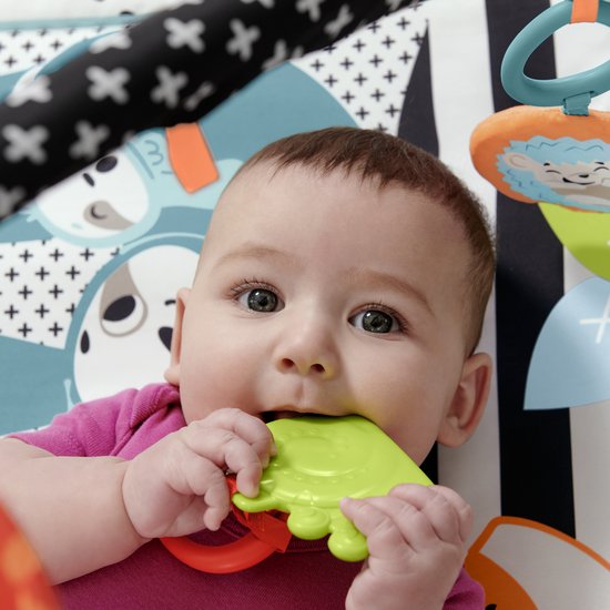Fisher-Price Baby Muziek Gym 3 in 1 - Pasgeboren baby speelgoed van Fisher Price — afbeelding 3