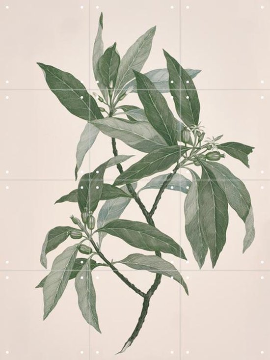 IXXI Timonius Timon - Wanddecoratie - Bloemen en Planten