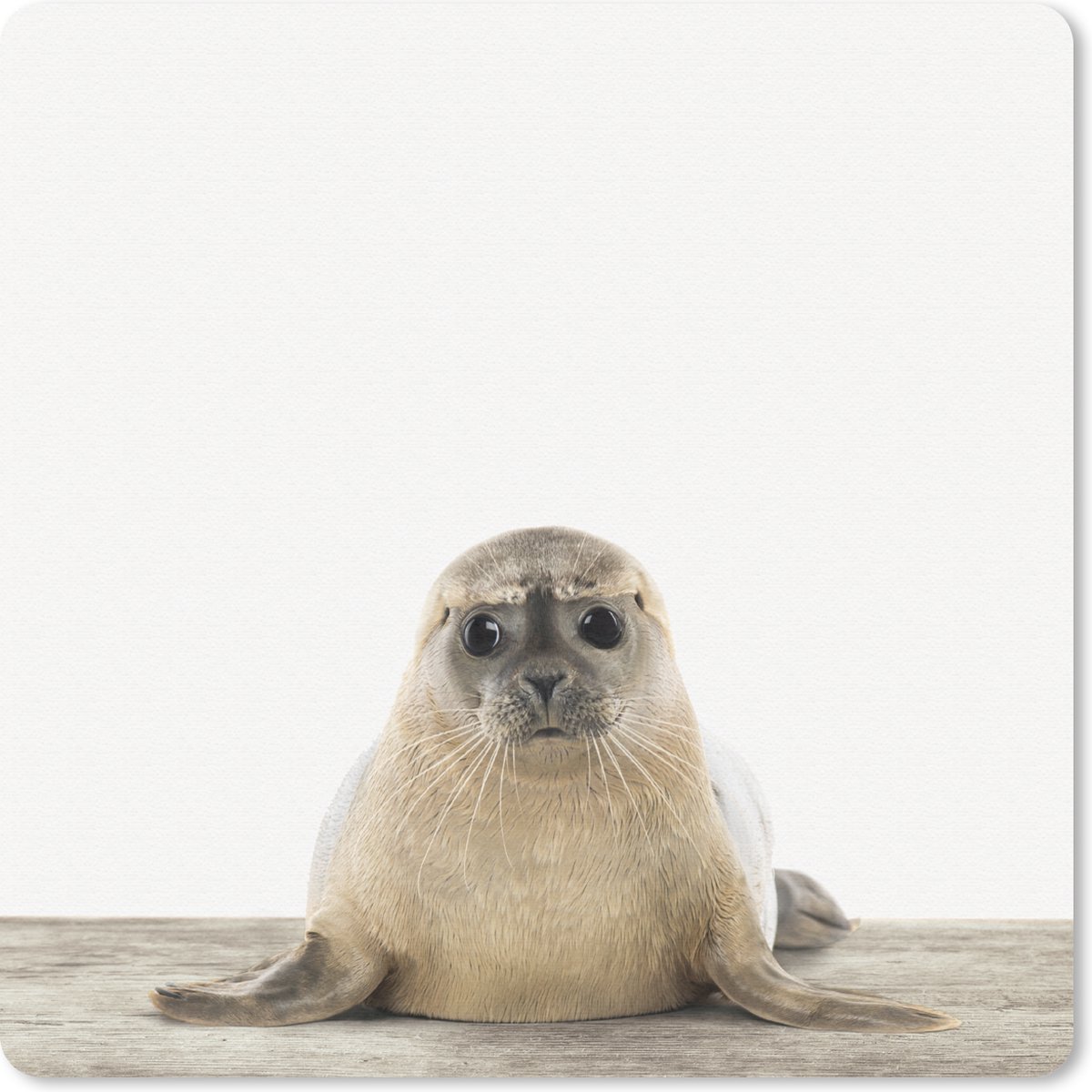 Muismat 30x30 cm - Mousepad Zeehond - Dieren - Kind - Jongens - Meisjes - Kinderen - Muismatten
