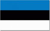 Luxe vlag Estland