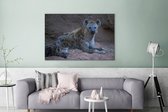 Canvas Schilderij Hyena - Welp - Rots - 120x80 cm - Wanddecoratie