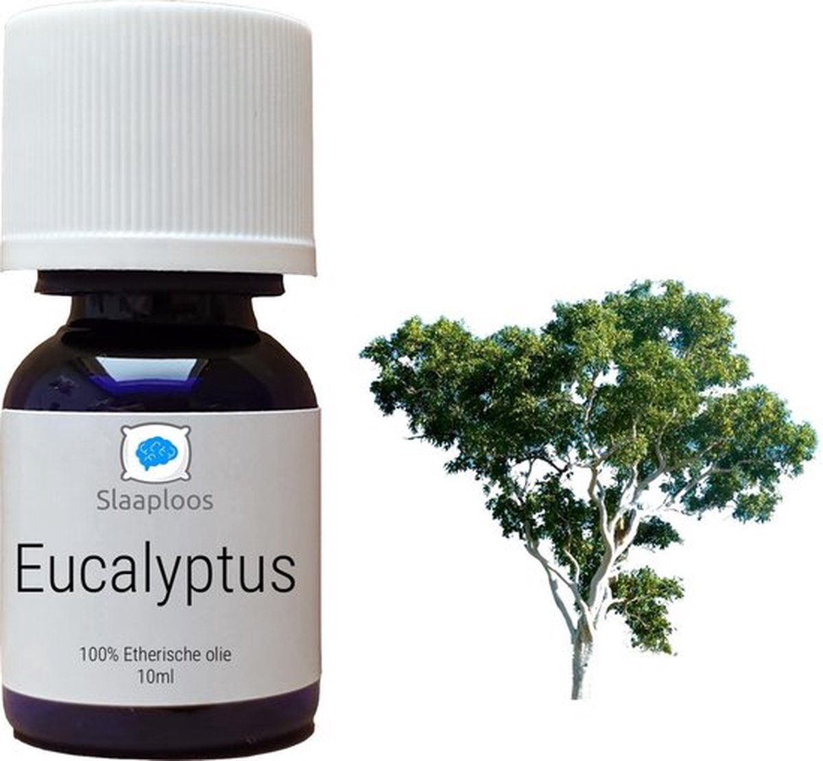 Goedkoopste Slaaploos Eucalyptus Olie - 100 Pure Etherische Olie geschikt voor diffuser