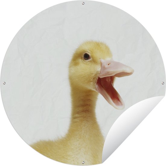 Tuincirkel Portret van een baby eend - 120x120 cm - Ronde Tuinposter - Buiten XXL / Groot formaat!