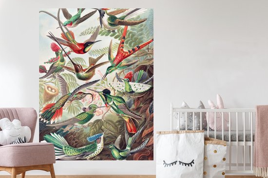 Stickers muraux - Feuille Autocollant - Colibri - Vintage - Ernst Haeckel - Vogel - Art - Nature - 120x160 cm - Feuille Adhésive - Stickers muraux Chambre Enfant - Papier Peint Auto Adhésif XXL