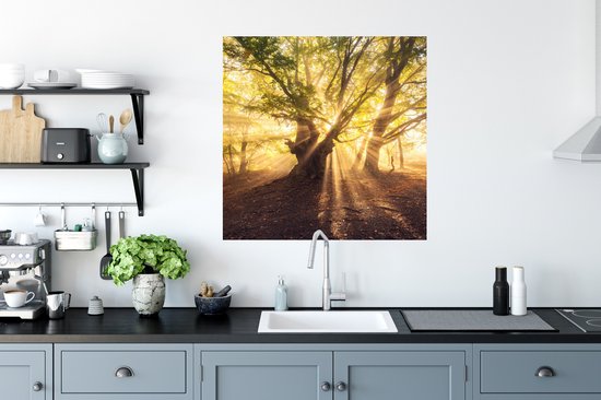 Stickers Stickers muraux - Arbre - Forêt - Soleil - 50x50 cm - Film adhésif