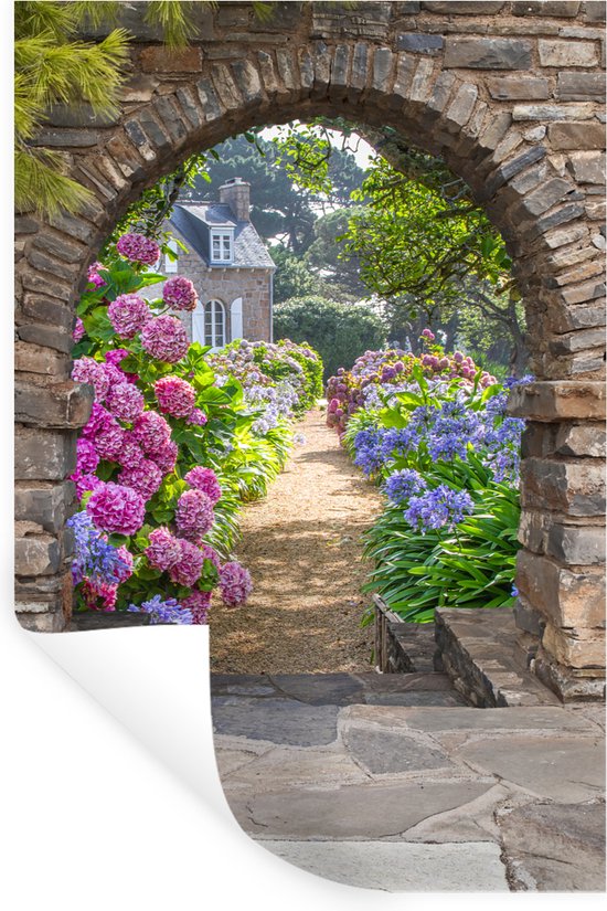 PosterMonkey Poster Doorkijk - Bloemen - Hortensia PosterMonkey Poster Doorkijk - Bloemen - Hortensia