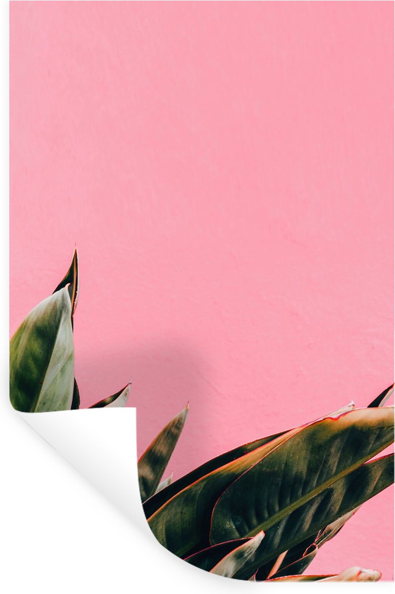 Muurstickers - Sticker Folie - Planten - Bladeren - Vrouwentong - Roze - Tropisch - 80x120