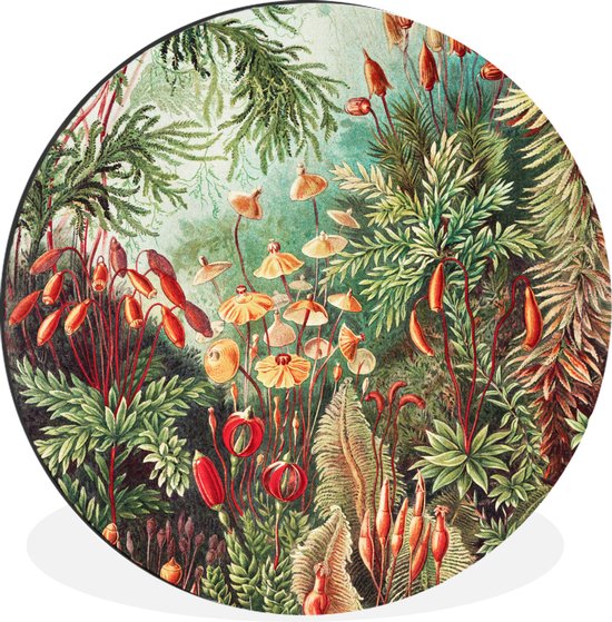 WallCircle - Wandcirkel - Muurcirkel - Bloemen - Kunst - Vintage - Natuur - Botanisch - Aluminium - Dibond - ⌀ 30 cm - Binnen en Buiten