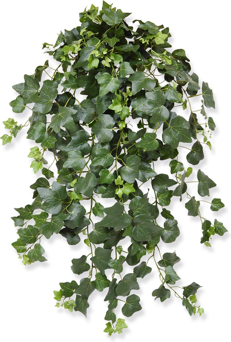 maxifleur Kunstplanten Hedera Gala kunst hangplant 75cm - groen