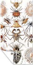 Tuin - Retro - Spin- Tuindecoratie - Insecten - Ernst Haeckel - Dieren - Kunst - Tuinposter - 40x80 cm - Schuttingposter - Tuindoek - Buitenposter