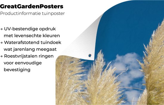 Affiche jardin - Pampa - Panaches d'herbe de pampa - Plante - Ciel - Blauw - 100x200 cm - Posters de jardin jardin - Jardin - Décoration murale - Décoration Décoration de jardin - Toile jardin - Affiche extérieure