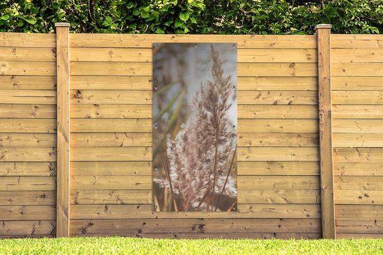 Affiche de jardin - Pampa - Plante de jardin d'herbe de pampa - Plante - Nature - Rose - 80x160 cm - Affiche de clôture - Jardin - Décoration murale - Décoration de jardin - Toile de jardin - Affiche d'extérieur