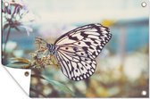 Tuinposter - Vlinders - Bloemen - Planten - Natuur - Tuinposters buiten - 120x80 cm - Tuindoek
