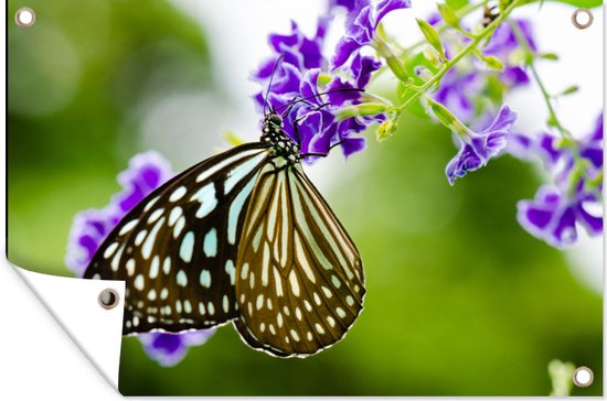 Affiche jardin - Papillons - Lavande - Fleurs - Printemps - Tableau jardin - 60x40 cm - Toile jardin