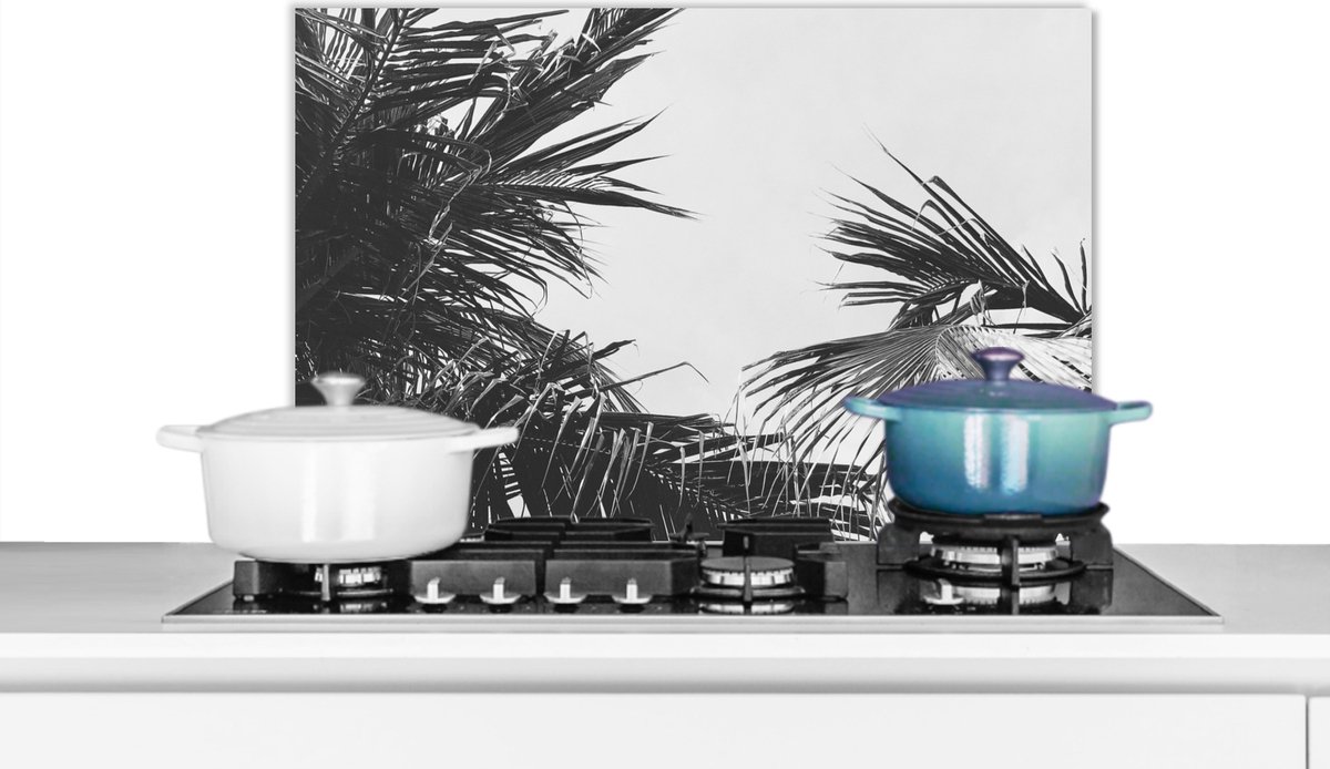 Spatscherm - Palmboom - Natuur - Zwart wit - Bladeren - Keuken - Spatwand- 60x40 cm