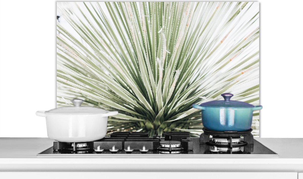 Spatscherm - Natuur - Groen - Plant - Keuken decoratie - 80x55 cm - Muurbeschermer