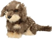 Pluche langharige teckel knuffel hond 45 cm - ruwharige dashhound