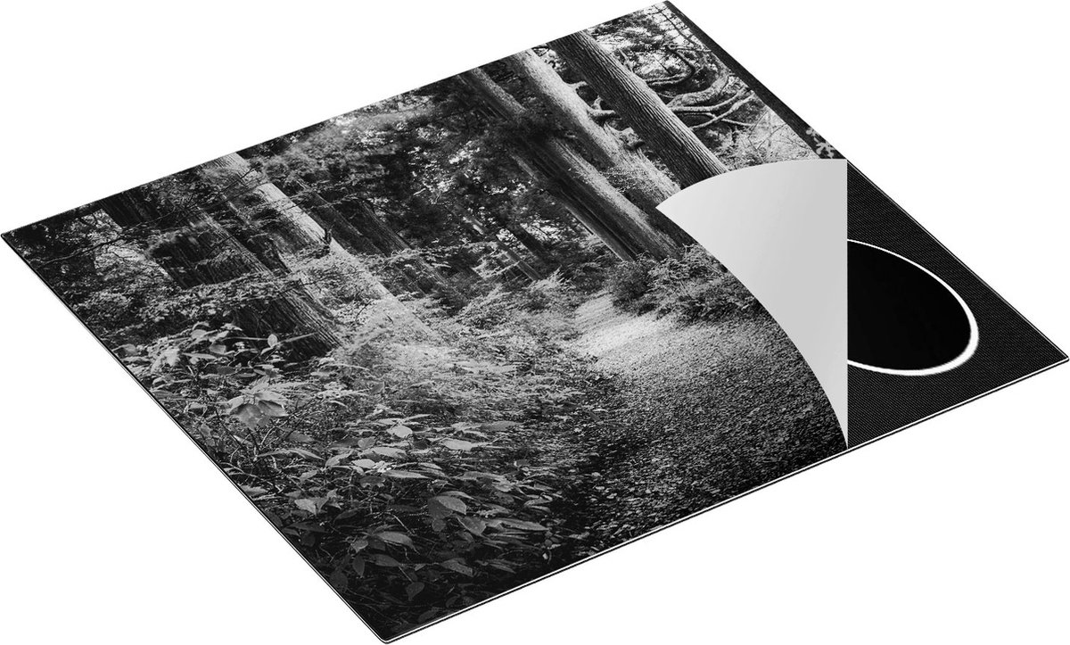 KitchyMist Inductie Beschermer Voetpad in het Bos - Zwart Wit - 58,3x51,3 cm - Afdekplaat Inductie - Kookplaat Beschermer - Inductie Mat