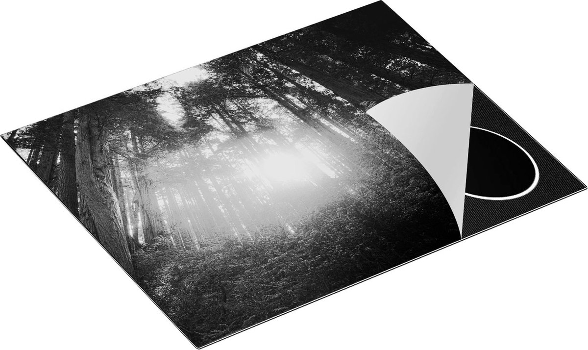 Chefcare Inductie Beschermer Bos met Zon tussen de Hoge Bomen - Zwart Wit - 65x55 cm - Afdekplaat Inductie - Kookplaat Beschermer - Inductie Mat