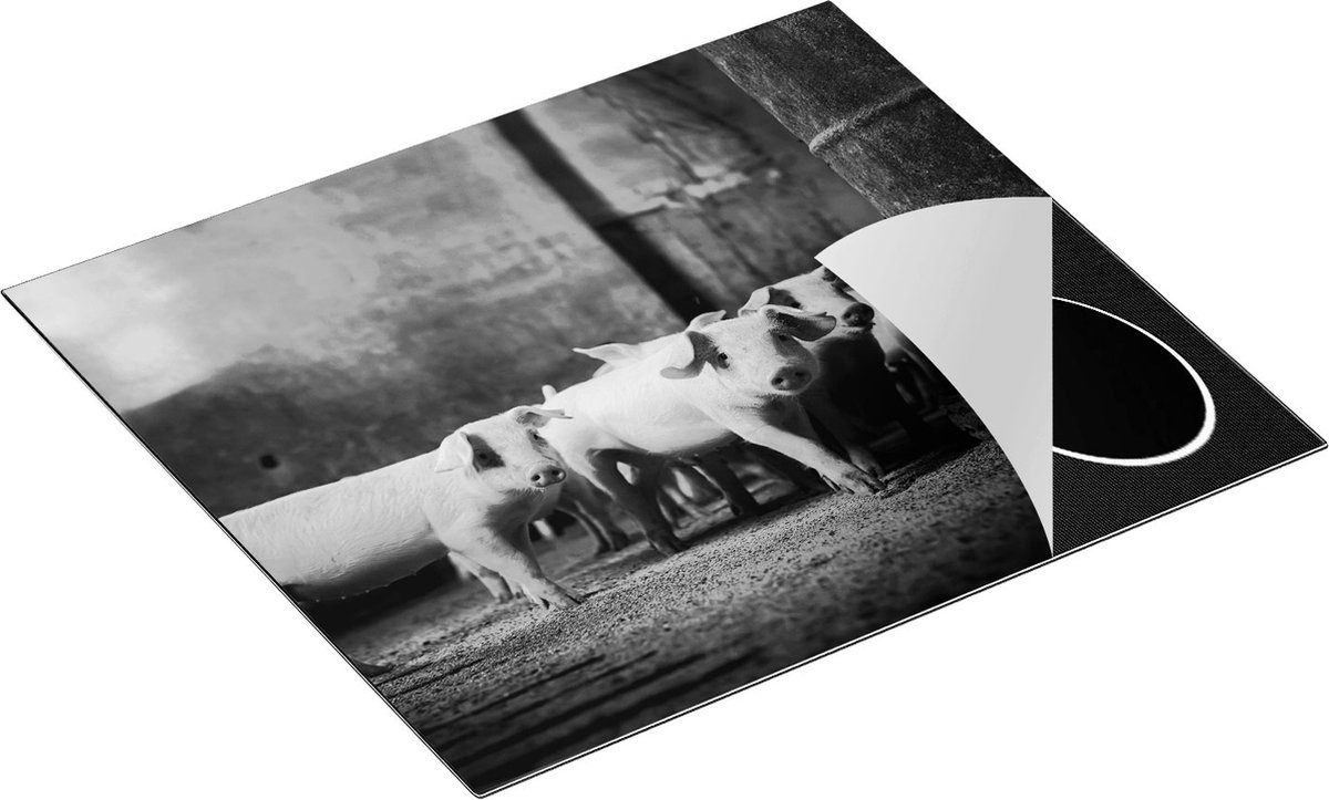 Chefcare Inductie Beschermer Varkens op een Boerderij Stal - Zwart Wit - 59x51 cm - Afdekplaat Inductie - Kookplaat Beschermer - Inductie Mat