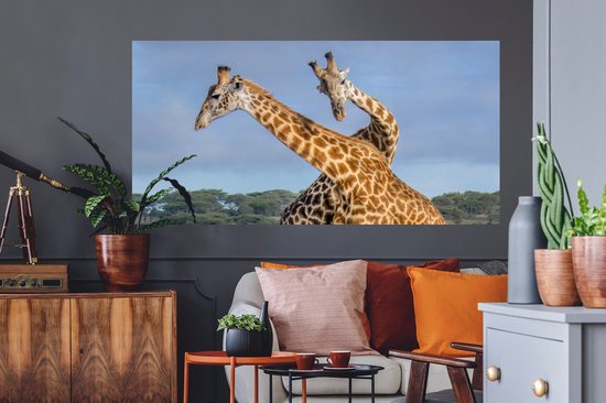 Stickers muraux - Girafes - Animaux - Nature - 160x80 cm - Film adhésif