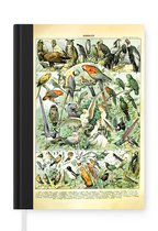 Notitieboek - Schrijfboek - Dieren - Vintage - Adolphe Millot - Vogels - Design - Notitieboekje klein - A5 formaat - Schrijfblok