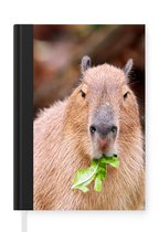 Notitieboek - Schrijfboek - Een Capibara die groene salade eet - Notitieboekje klein - A5 formaat - Schrijfblok