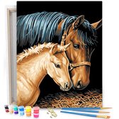 Cheval avec poulain - Peinture par numéro 50x40cm avec cadre en bois