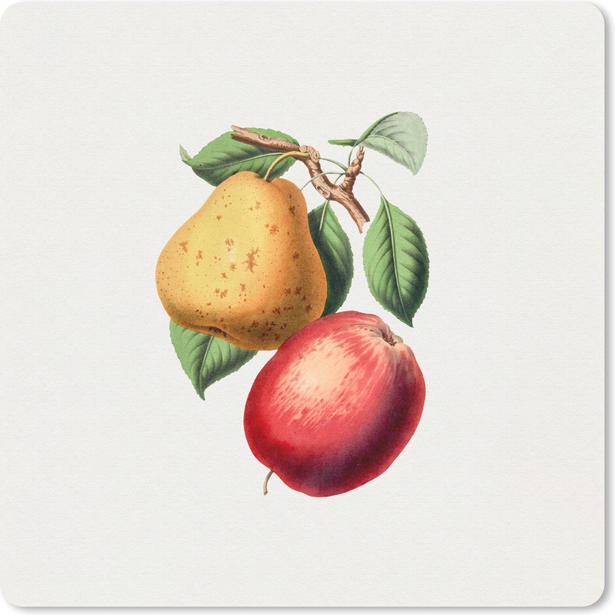 Muismat 20x20 cm - Mousepad Fruit - Lente - Bladeren - Muismatten