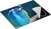 Chefcare Inductie Beschermer Blauwe IJsvogel op een Tak - 70x55 cm - Afdekplaat Inductie - Kookplaat Beschermer - Inductie Mat