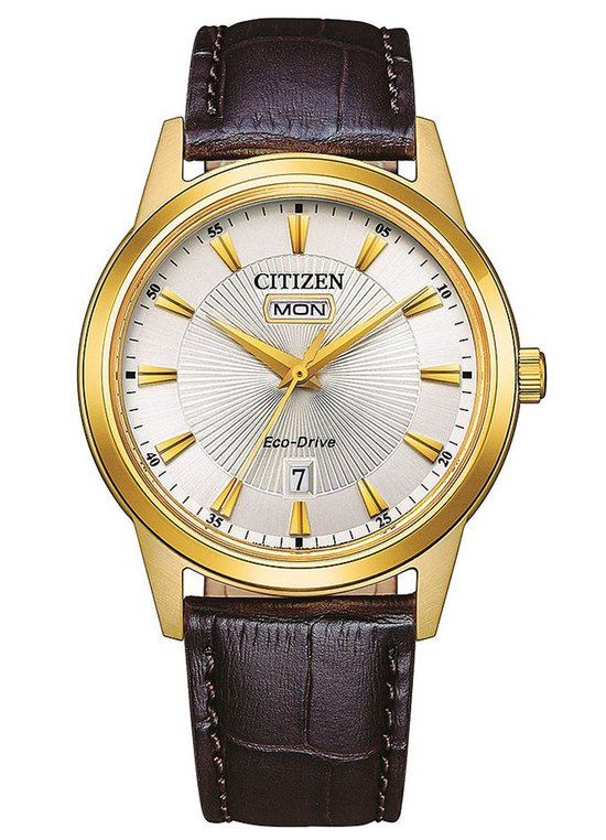 Citizen  AW0102-13AE Horloge - Leer - Bruin - Ø 40 mm