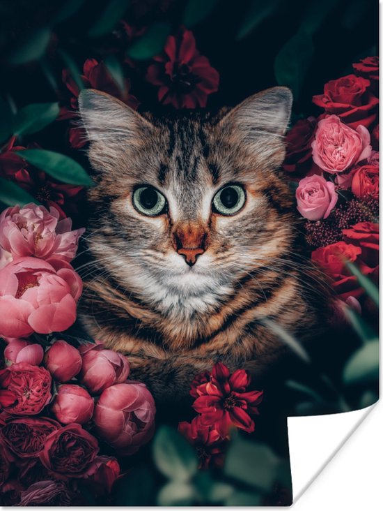 Poster Kat - Bloemen - Bladeren - Botanisch