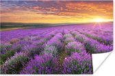 Poster Lavendel - Wolken - Lente - 30x20 cm